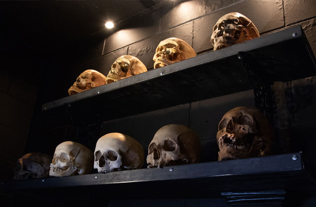 Skull Collection